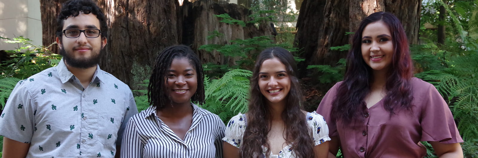 A photo of four smiling students standing in front of redwoods.