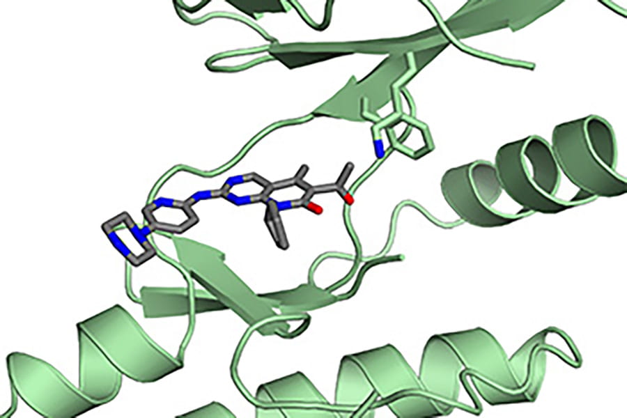 Structural analysis reveals an unexpected mechanism for a cancer drug
