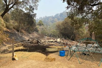 Wildfires burn six UC Natural Reserves; seventh threatened