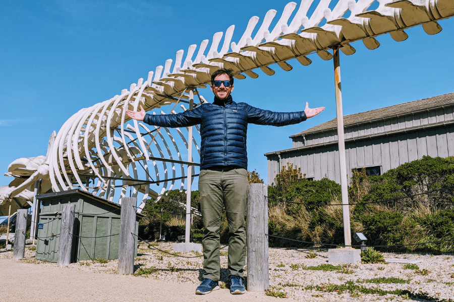 Jonathan Hicken in front of the whale skeleton at the Seymour Center