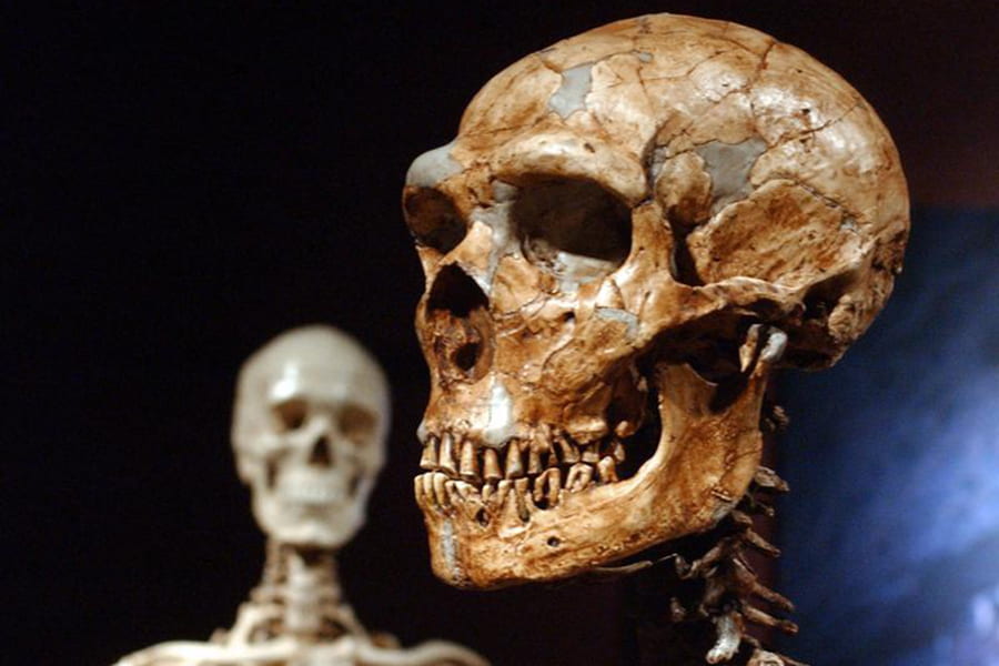 UCSC Paleogenomics Lab finds only 7% of our DNA is unique to modern humans