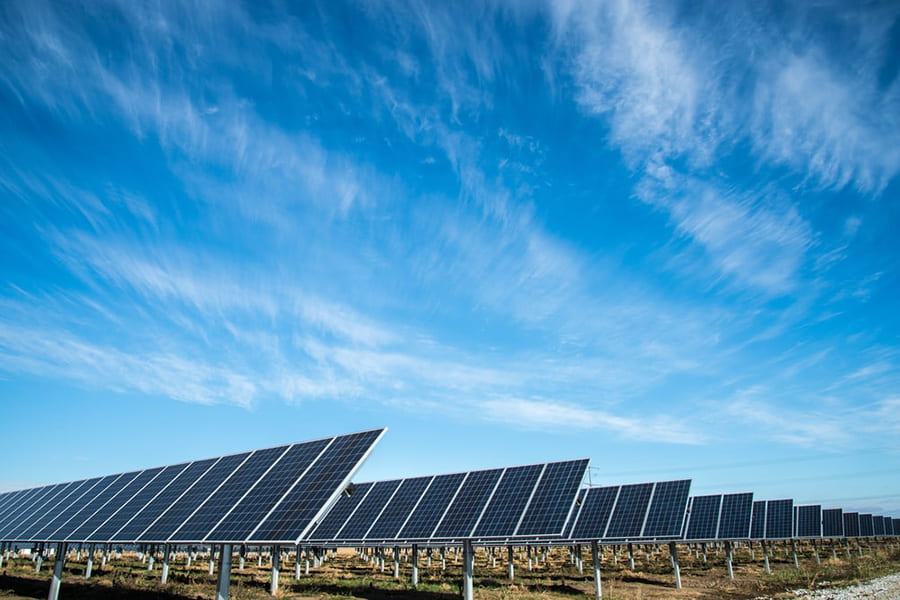 Solar farms are often bad for biodiversity — but they don’t have to be