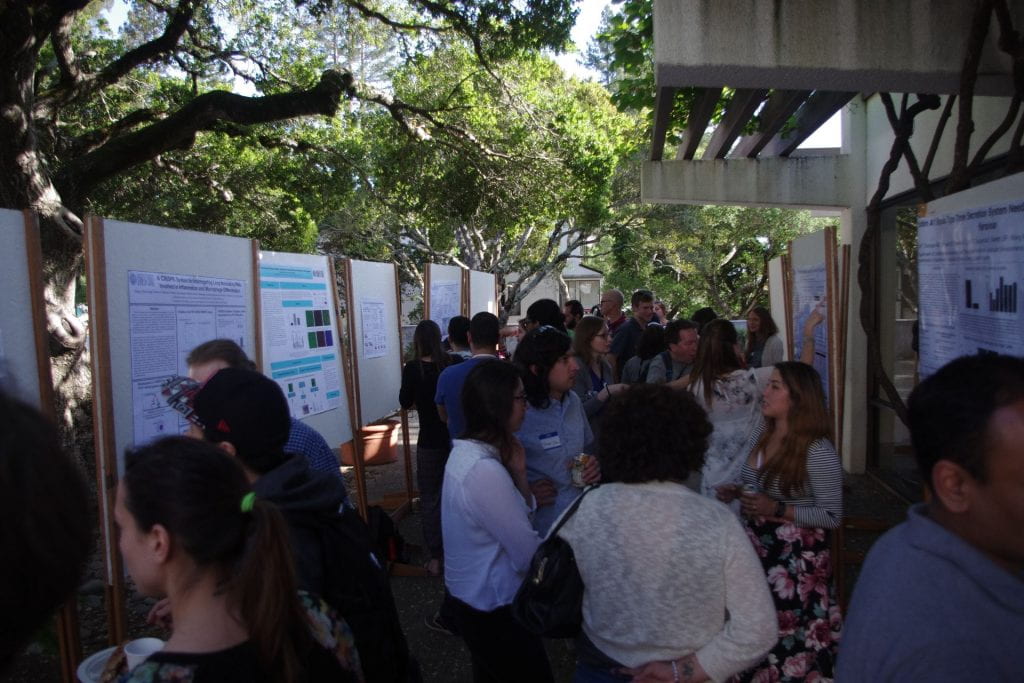 Students gather around academic posters that are being displayed outdoors.