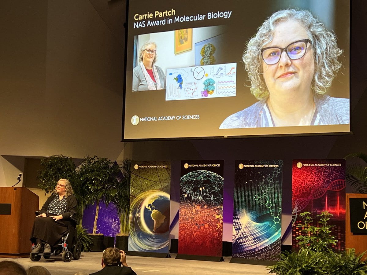 Biochemist Carrie Partch honored by the National Academy of Sciences