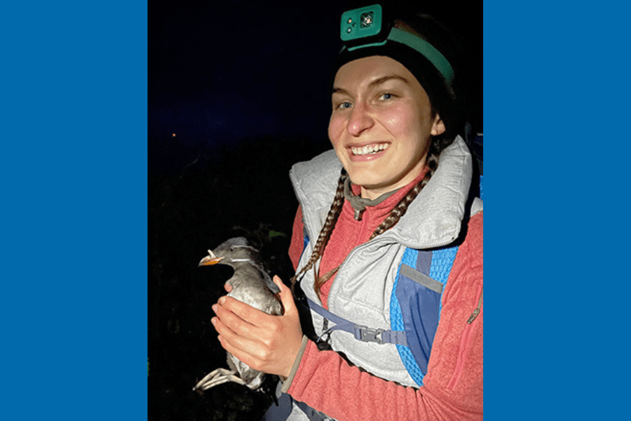 NOAA scholarship supports graduate student’s seabird conservation research