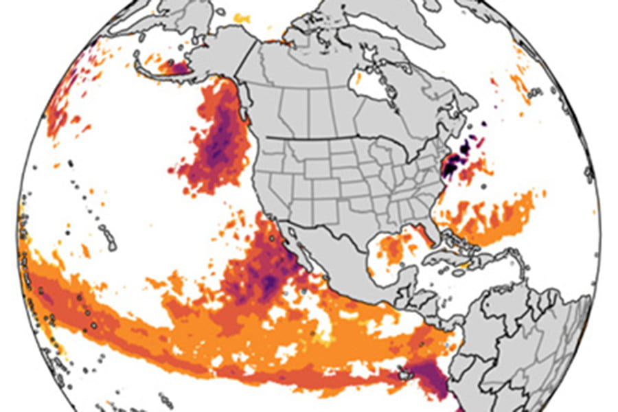 New global forecasts of marine heatwaves foretell ecological and economic impacts