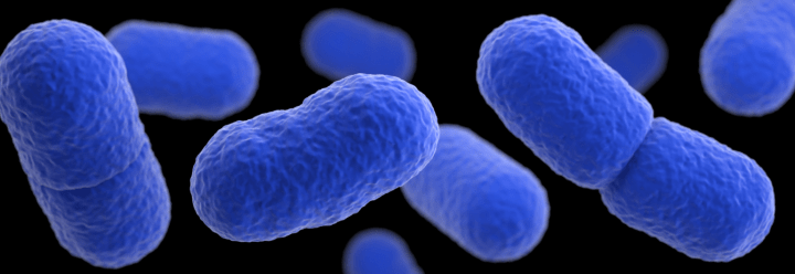 CDC 3d rendered image of Listeria