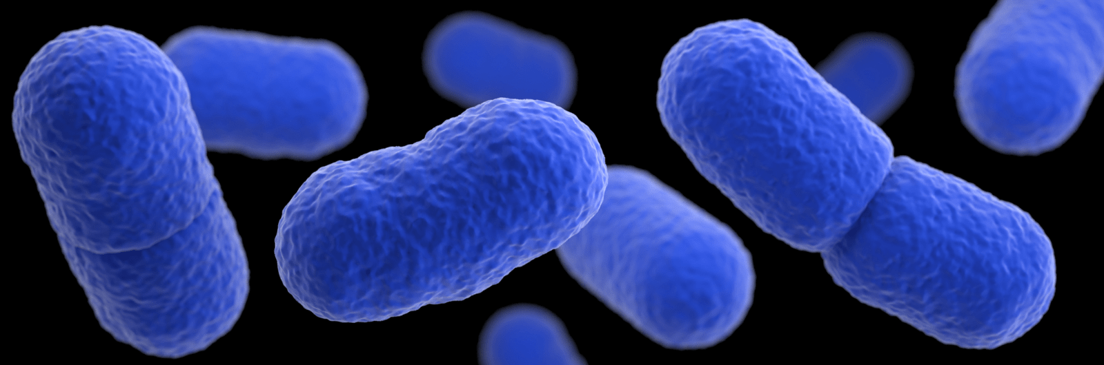 CDC 3d rendered image of Listeria