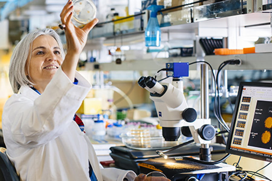UC Santa Cruz offers new major in microbiology