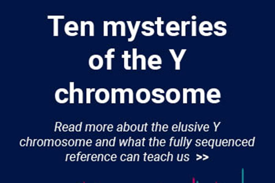 Scientists release the first complete sequence of a human Y chromosome