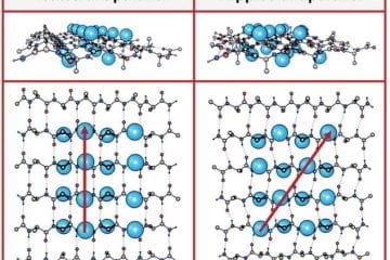 Chemists use peptides from Alzheimer’s and Type II diabetes to describe five new rippled beta-sheets